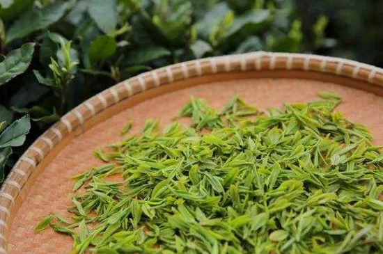 炒青綠茶與綠茶的區(qū)別，烘青和炒青哪個好喝？