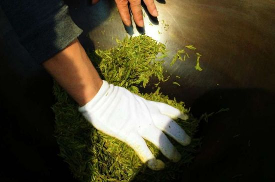 茶葉怎么炒制才香，怎樣炒茶葉更香？