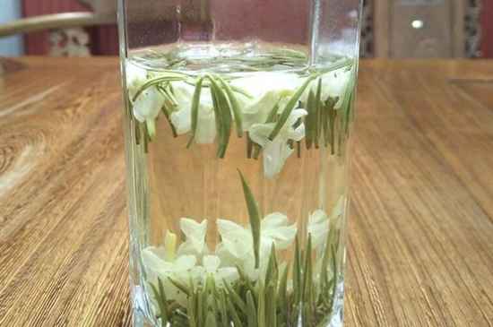 女孩喝茉莉茶的好處，茉莉茶葉的功效與禁忌
