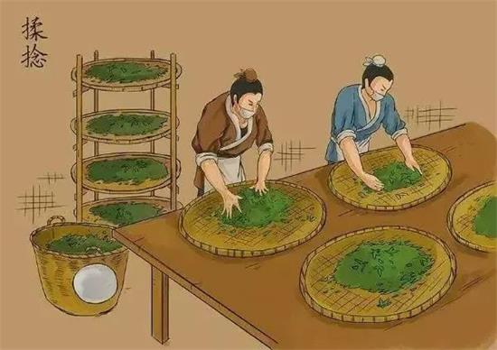 制茶八步驟，制茶工藝流程圖