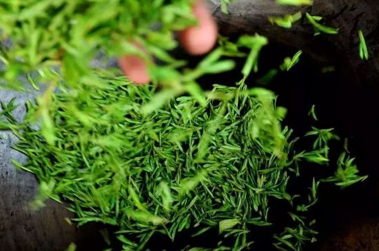 龍井茶炒茶葉怎么炒出好茶色，茶葉怎樣做出來最綠？