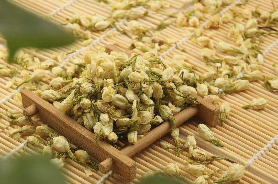 茉莉花茶與什么相克，茉莉花搭配禁忌