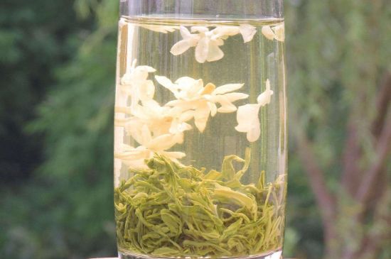 茉莉龍珠可以和什么一起泡茶，茉莉龍珠茶能加蜂蜜嗎？