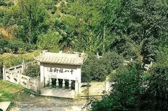 母樹大紅袍給誰喝了，為什么母樹大紅袍叫三棵六株？
