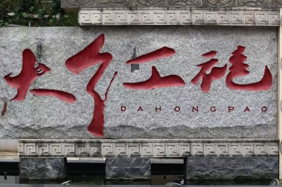母樹大紅袍給誰喝了，為什么母樹大紅袍叫三棵六株？