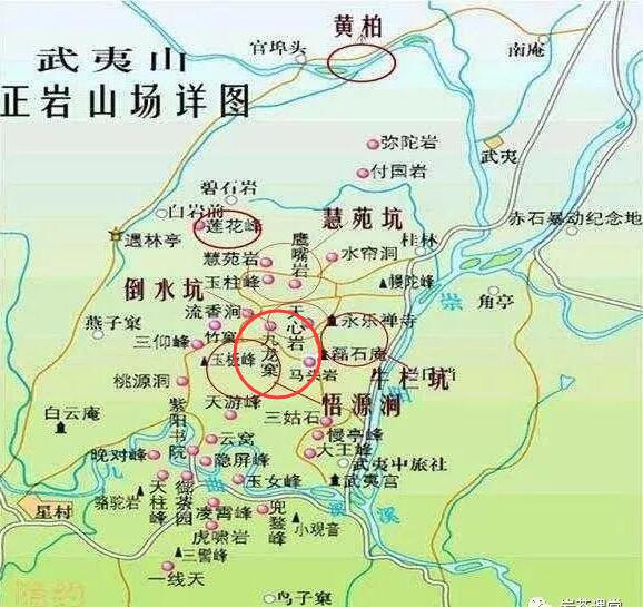 母樹大紅袍給誰喝了，為什么母樹大紅袍叫三棵六株？