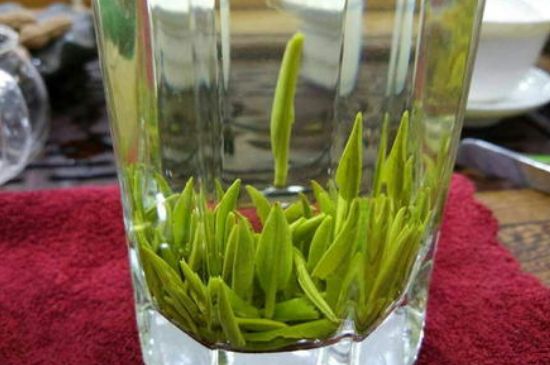 雀舌有一股青草味，雀舌為什么有青草味？