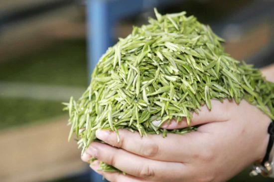 高山云霧茶屬于什么茶，高山云霧茶哪里的最好