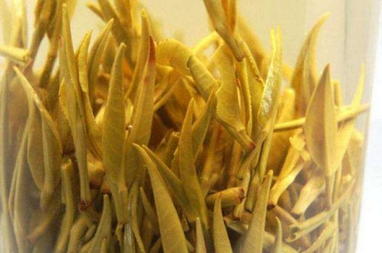 黃茶不適合哪些人喝，黃茶的功效與作用禁忌
