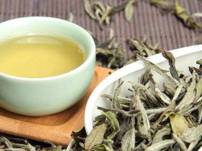 大紅袍好還是白茶好，福鼎白茶和大紅袍哪個貴？
