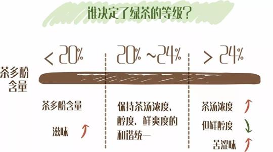 什么綠茶口味重口感濃郁，口味比較重的綠茶都有那些？