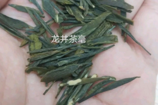 西湖龍井茶毫和發(fā)霉區(qū)別圖片，長霉的龍井茶葉會(huì)是什么樣？