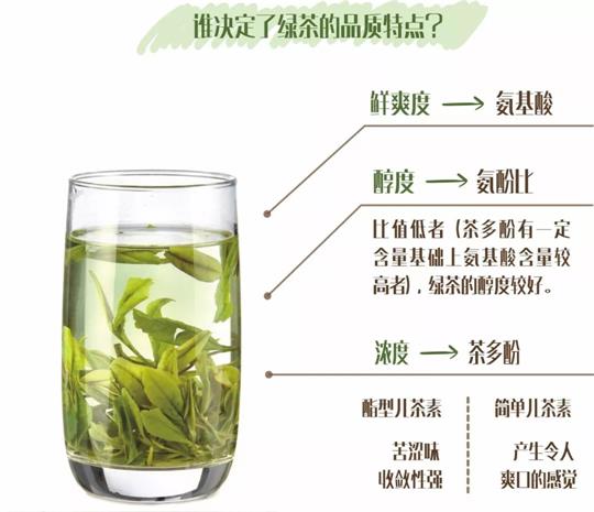 什么綠茶口味重口感濃郁，口味比較重的綠茶都有那些？
