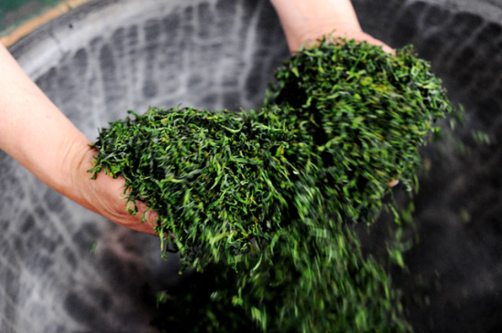 潮汕炒茶屬于什么茶，潮汕炒茶是綠茶嗎？