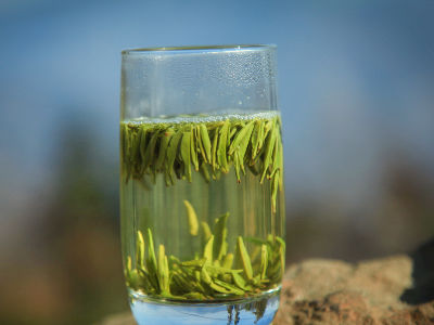 竹葉青茶怎么樣，檔次較高味道略苦價格比較貴