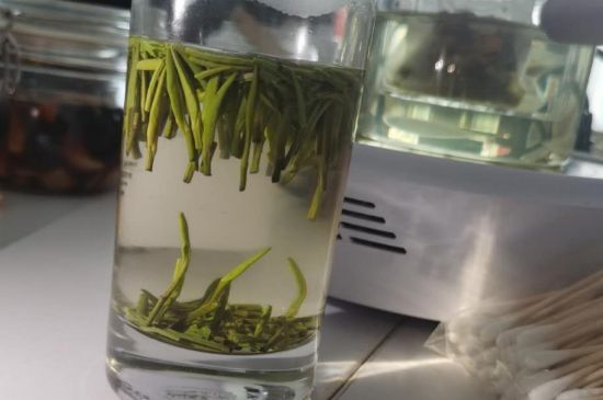 金壇雀舌算不算好茶，金壇雀舌屬于什么檔次茶葉？