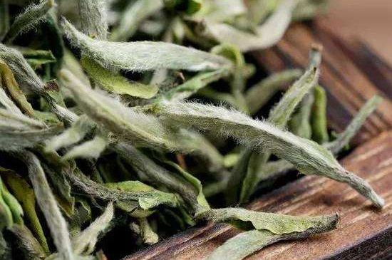 荒野銀針有什么特點，荒野銀針的味道口感咋樣？