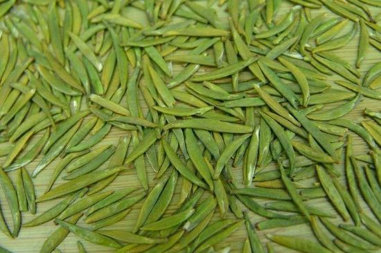 竹葉青和毛尖的區(qū)別，毛尖和竹葉青怎么分辨？