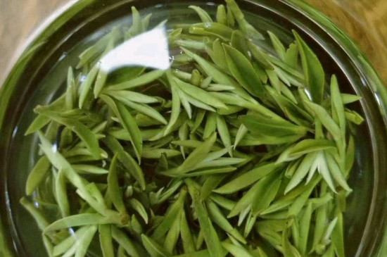 什么綠茶茶葉唇齒留香，哪個(gè)品種綠茶香氣好？