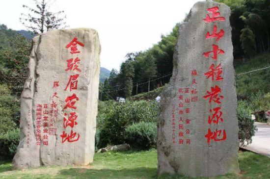 300塊錢的金駿眉能喝嗎，兩三百多金駿眉和一千多區(qū)別