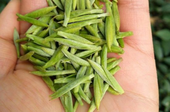什么綠茶味道濃香，那個綠茶比較濃香？