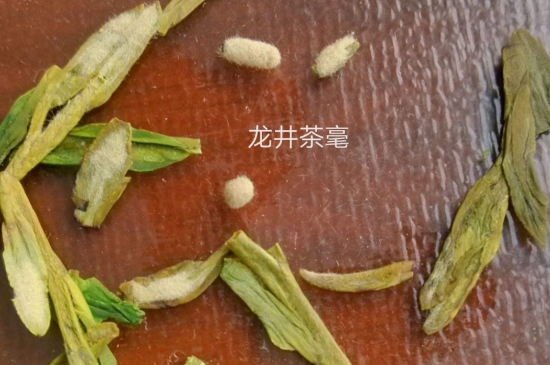 西湖龍井茶毫和發(fā)霉區(qū)別圖片，長霉的龍井茶葉會(huì)是什么樣？