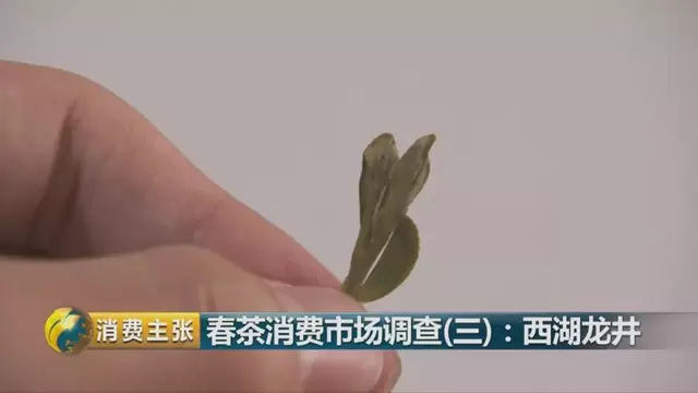 龍井群體種和43號的區(qū)別圖片，龍井43和群體種哪個(gè)好喝？