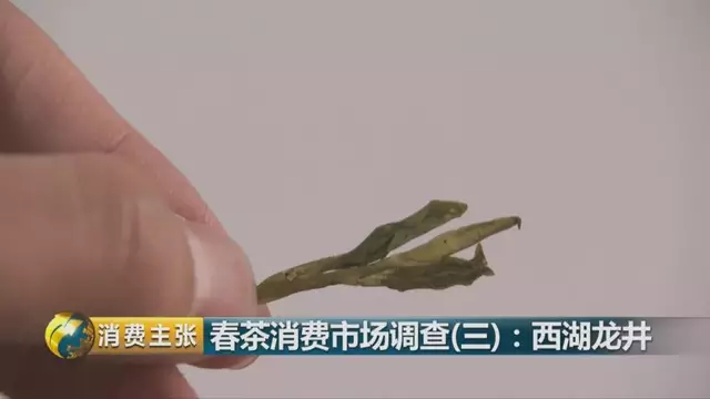 龍井群體種和43號的區(qū)別圖片，龍井43和群體種哪個(gè)好喝？