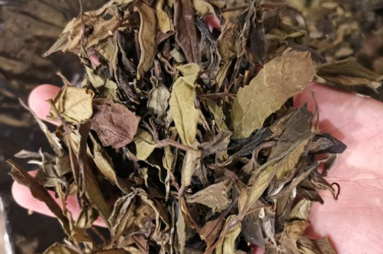 新舊白茶怎么區(qū)分，怎么分辨白茶是新還是舊