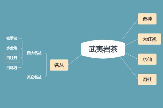 武夷巖茶品種大全，巖茶有幾種？