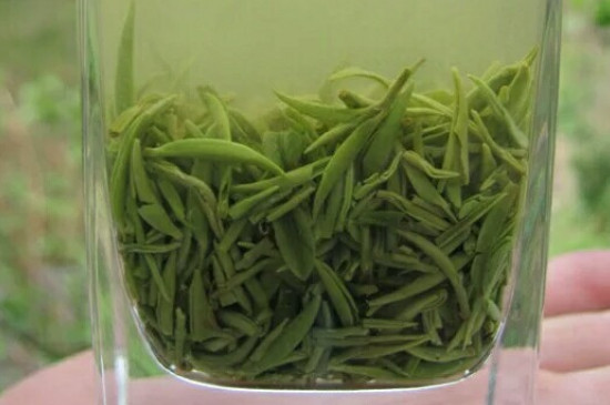 什么綠茶茶葉唇齒留香，哪個(gè)品種綠茶香氣好？