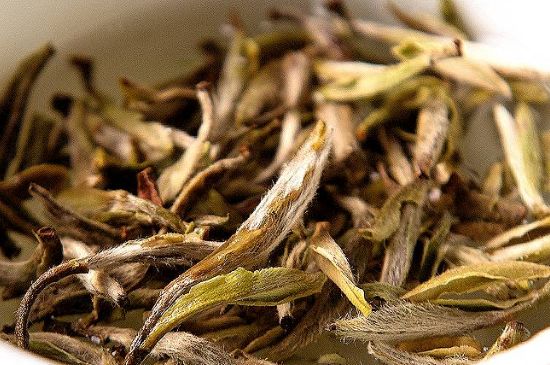 荒野銀針市場價多少，真正的荒野白毫銀針多少錢？