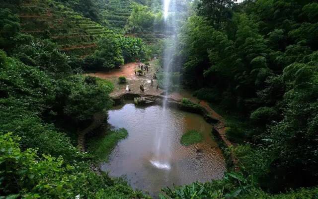 武夷山為什么盛產(chǎn)茶葉，武夷山茶為什么好喝？