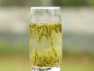 霍山黃芽算是好茶嗎，霍山黃芽屬于什么茶？