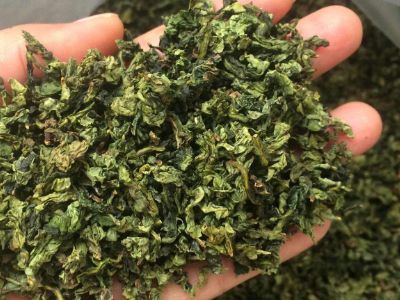 鐵觀音毛茶茶?？梢耘菟葐幔F觀音帶梗是不是好茶？