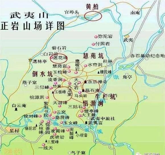 300塊錢的金駿眉能喝嗎，兩三百多金駿眉和一千多區(qū)別