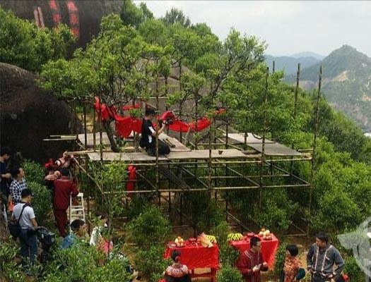 宋種一號(hào)價(jià)值為什么高，鳳凰單樅宋種1號(hào)價(jià)格與產(chǎn)量多少？