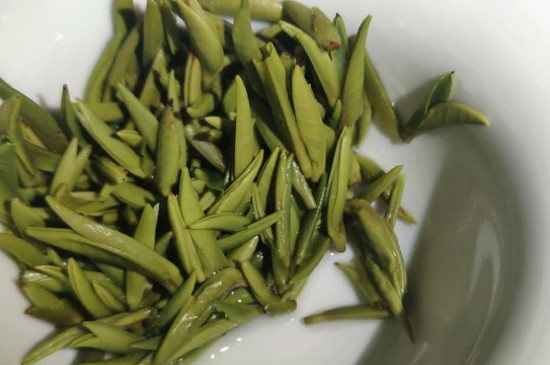 竹葉青茶怎么泡，竹葉青如何沖泡