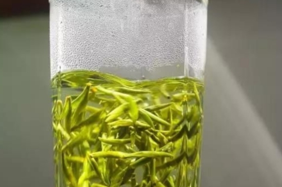 西湖龍井茶毫和發(fā)霉區(qū)別圖片，長霉的龍井茶葉會(huì)是什么樣？