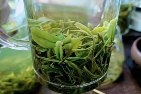 什么綠茶味道濃香，那個綠茶比較濃香？
