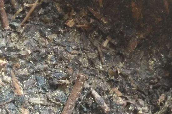 黑茶茯茶保存五大忌，茯茶收藏的注意事項(xiàng)