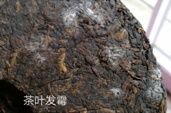 西湖龍井茶毫和發(fā)霉區(qū)別圖片，長霉的龍井茶葉會(huì)是什么樣？